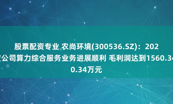 股票配资专业 农尚环境(300536.SZ)：2024年度公司算力综合服务业务进展顺利 毛利润达到1560.34万元