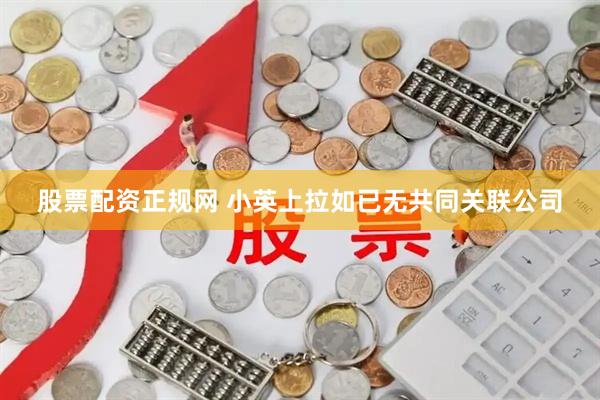 股票配资正规网 小英上拉如已无共同关联公司